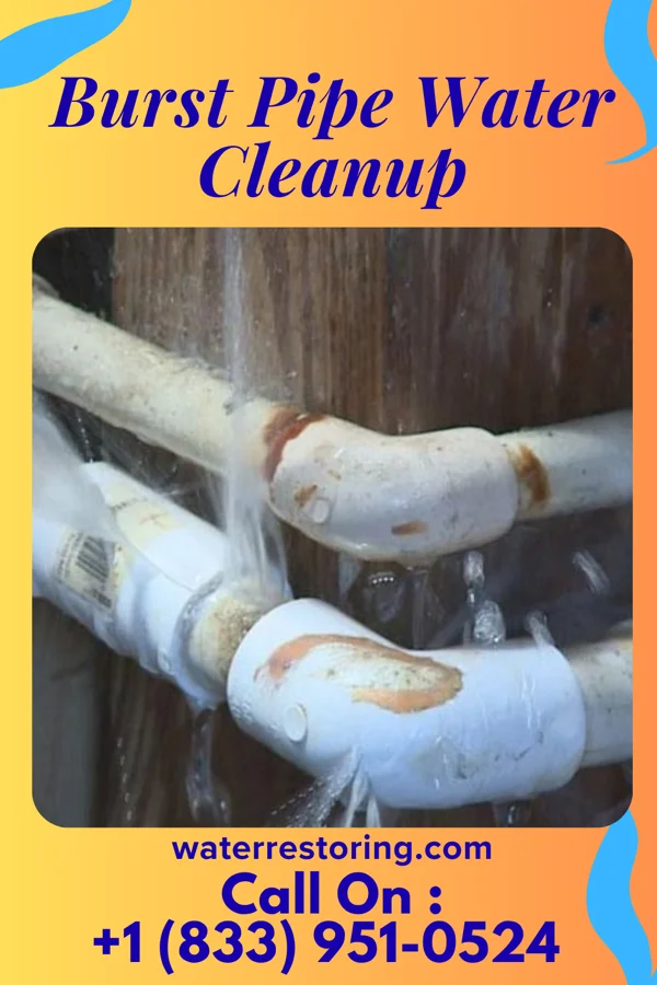 Burst Pipe Water Cleanup in Burket, IN