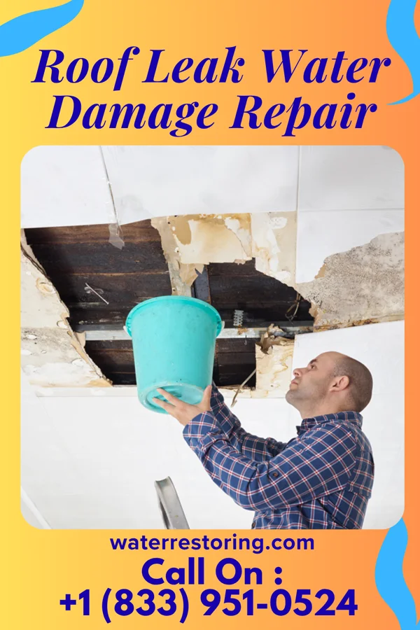 Roof Leak Water Damage Repair in Burket, IN