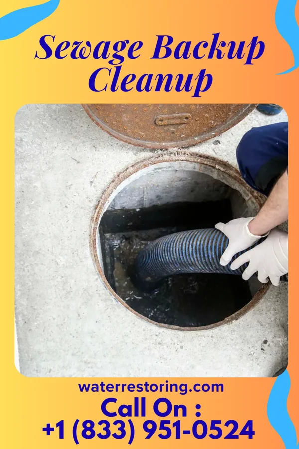 Sewage Backup Cleanup in Burket, IN